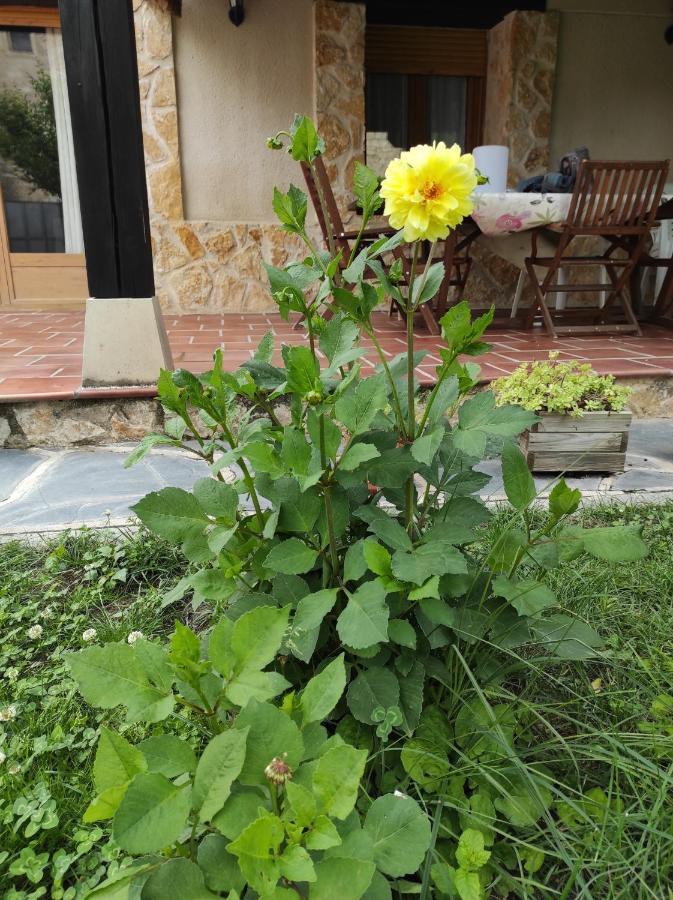Casa Rural La Cija Del Abuelo A 1 Hora De Madrid Сеговия Екстериор снимка